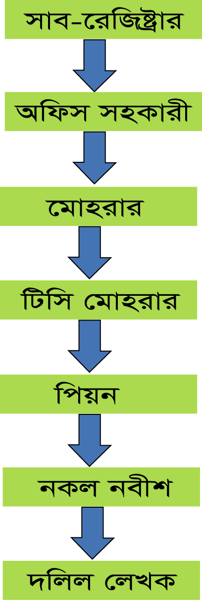সাংগঠনিক কাঠামো