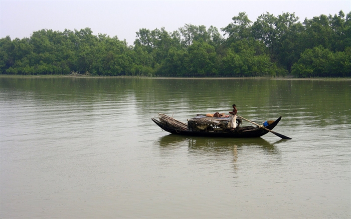 ফটোগ্যালারী