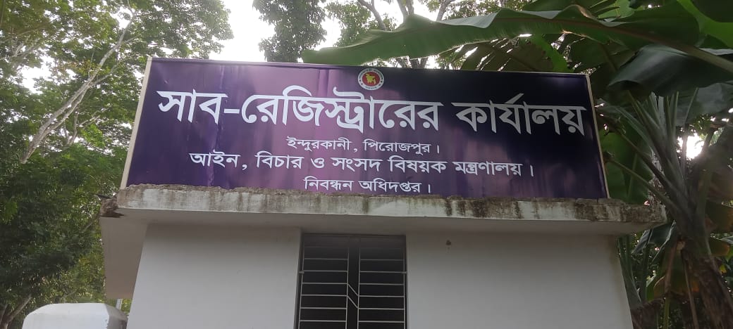 মেইন ফলক