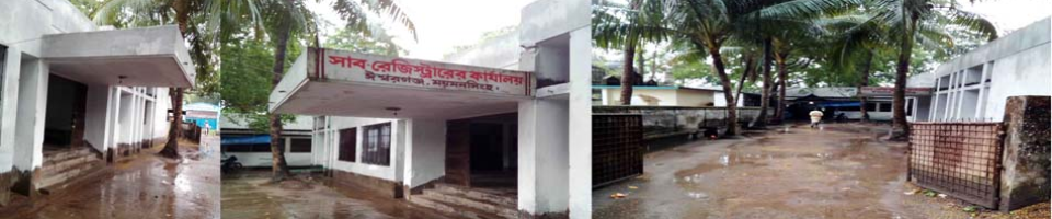 ব্যানার