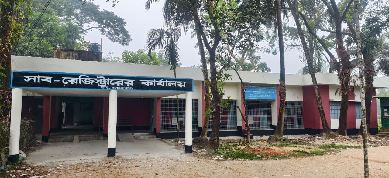 ফটো গ্যালারী