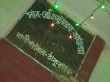 মাঠ কার্যক্রম