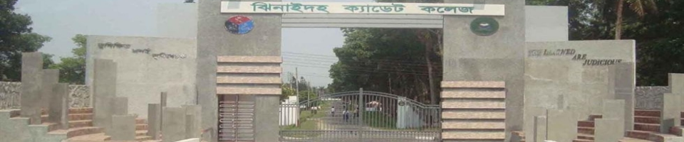 ক্যডেট কলেজ