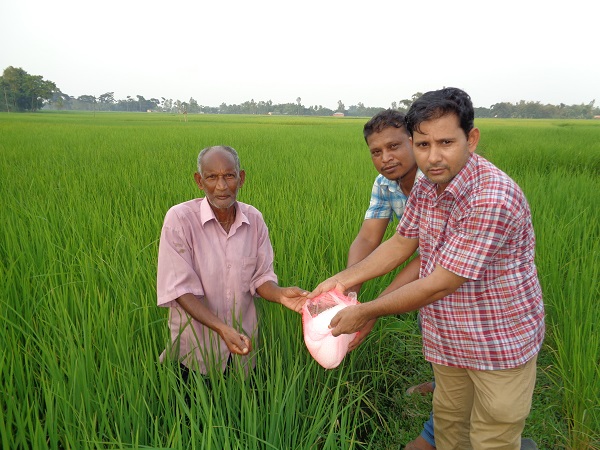 গবেষণা প্রদর্শনী প্লট পরিদর্শন