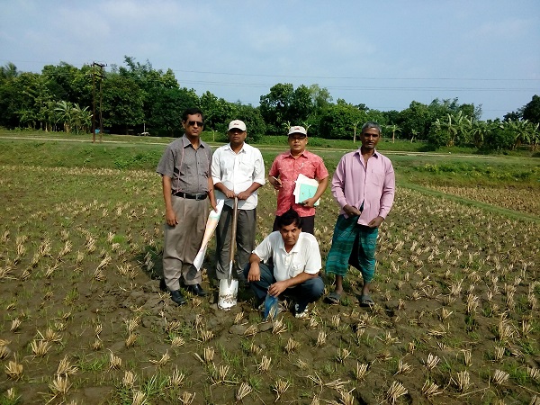 মৃত্তিকা জরিপ