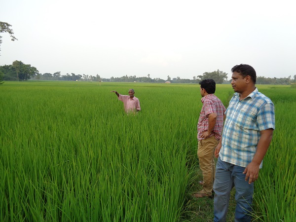 গবেষণা প্রদর্শনী প্লট পরিদর্শন