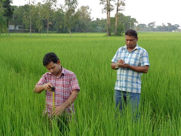গবেষণা প্রদর্শনী প্লট পরিদর্শন