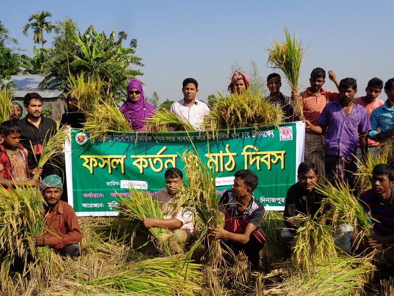 ফসল কর্তন ও মাঠ দিবস