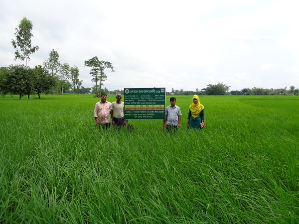 গবেষণা প্রদর্শনী প্লট পরিদর্শন