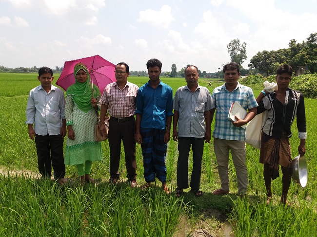 গবেষণা প্রদর্শনী প্লট পরিদর্শন