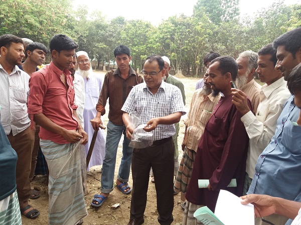মৃত্তিকা জরিপ