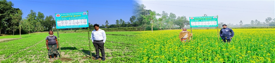 প্রায়োগিক ট্রায়াল