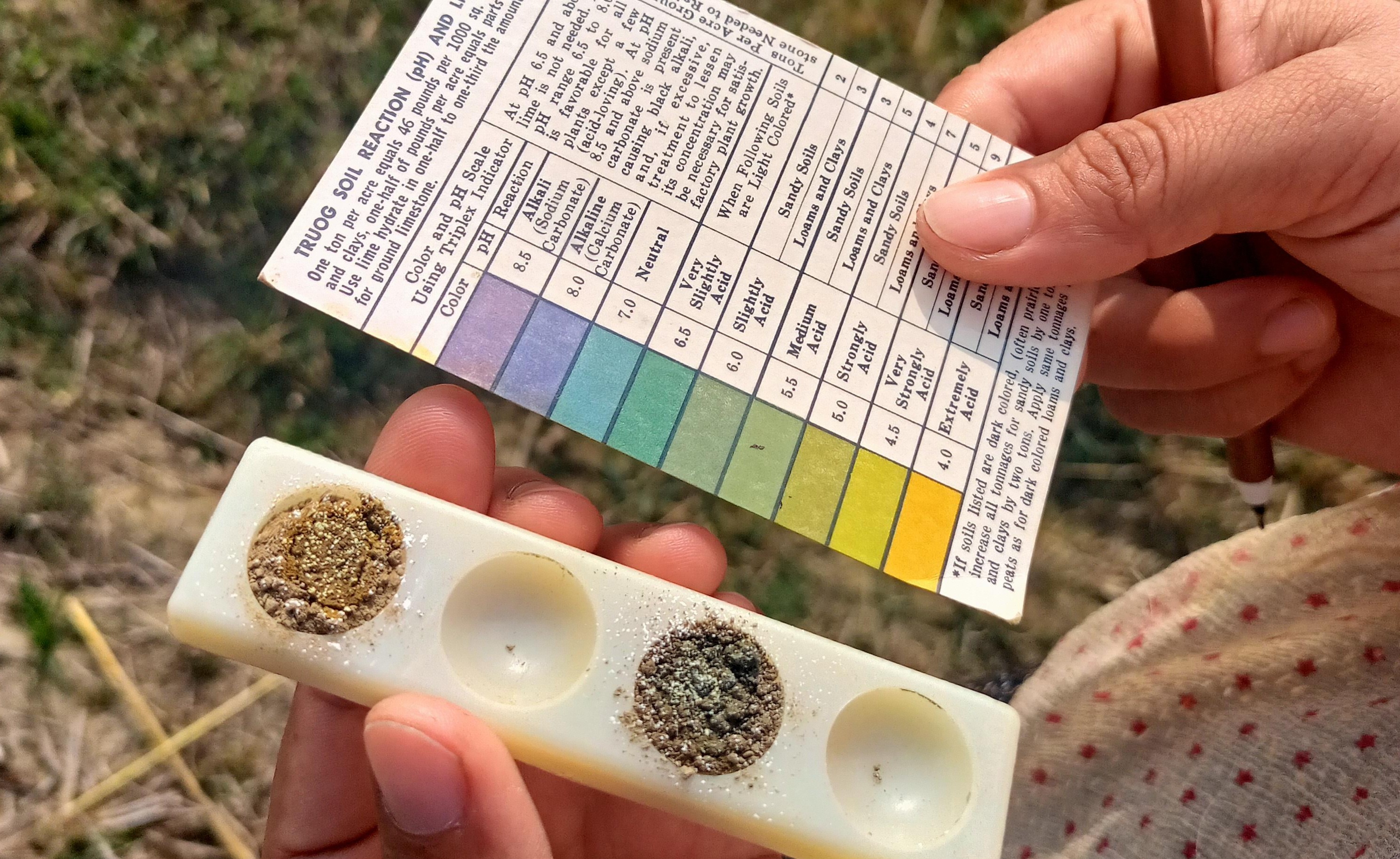 ব্যানার ২
