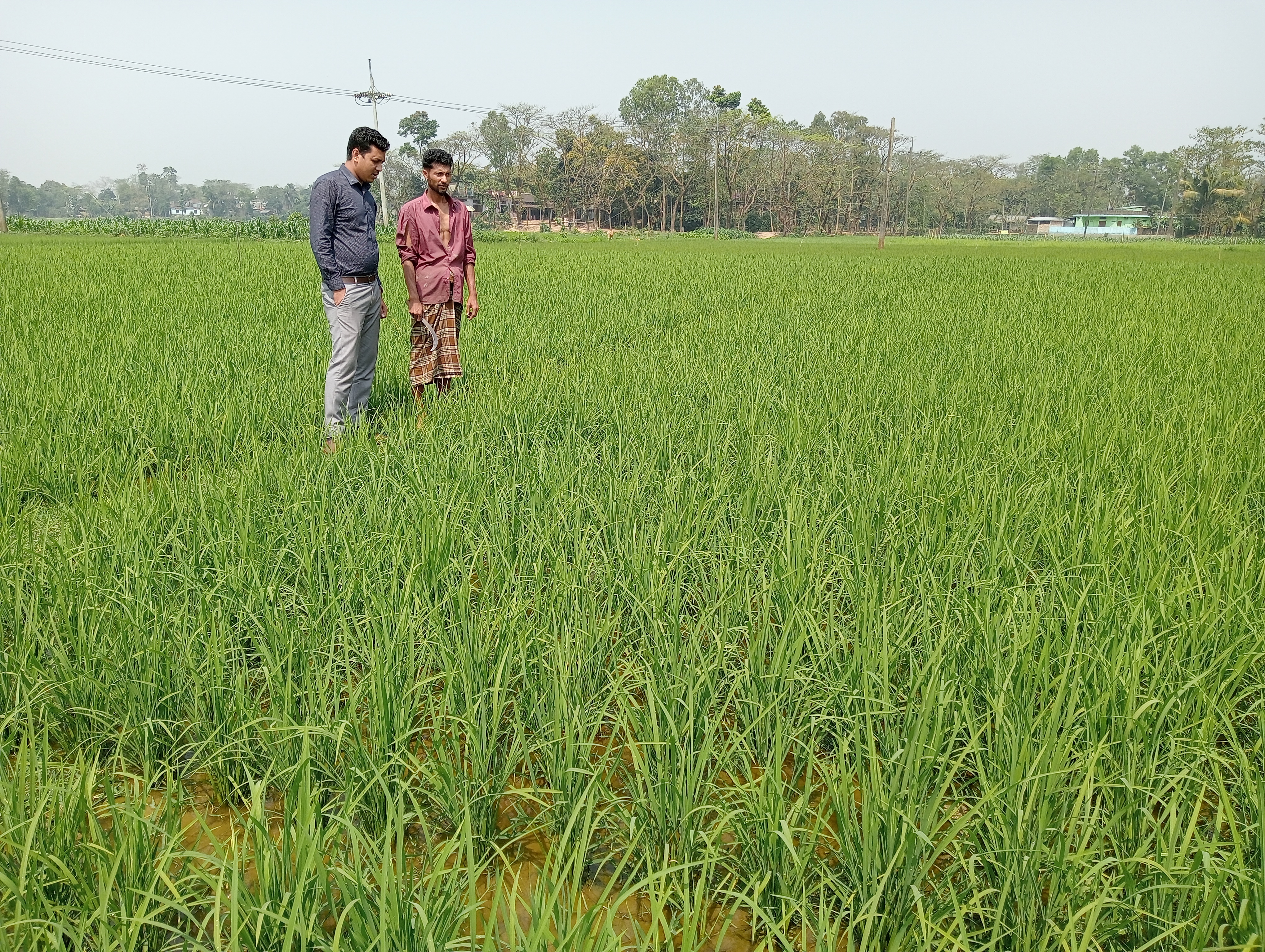 আলোকচিত্রে ২০২৩-২০২৪ অর্থবছরের প্রধান প্রধান কার্যক্রম