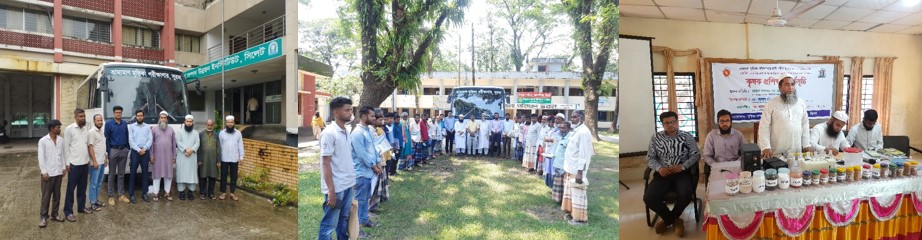 এমএসটিল ২০২৫