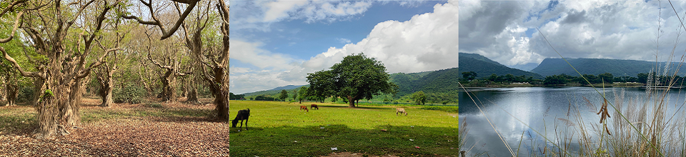 সিলেটের প্রাকৃতিক সৌন্দর্য্য