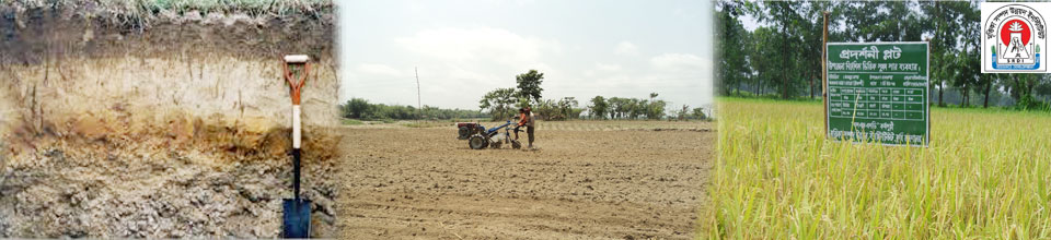 প্রদর্শনী প্লট