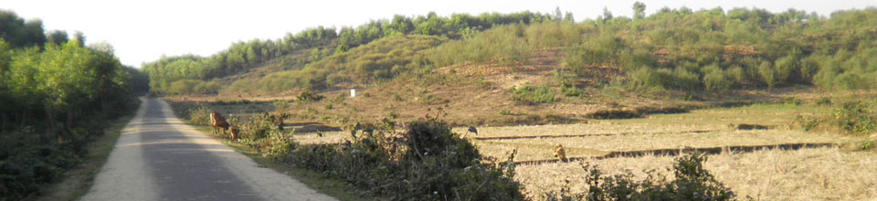 মালাকোচা