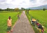 প্রকৌশল