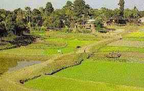 ভূমি