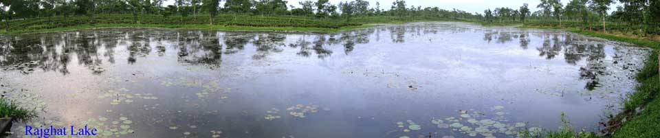 রাজঘাট লেইক