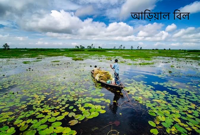 আড়িয়াল বিল