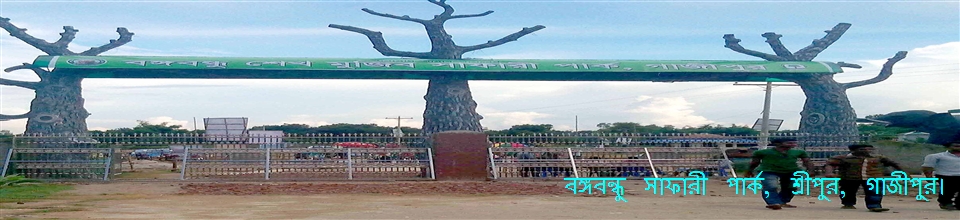 বঙ্গবন্ধু সাফারী পার্ক, শ্রীপুর, গাজীপুর।