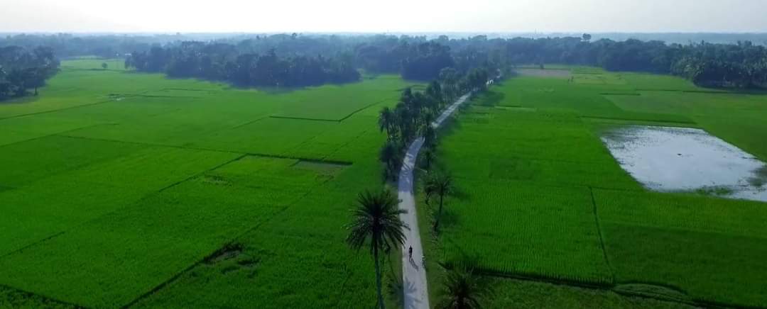 ব্যানার ১২