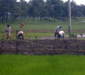 কৃষি ও প্রাণি সম্পদ