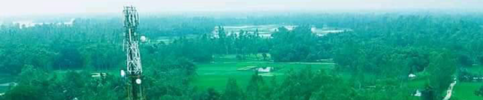 শ্রীপুর ইউনিয়ন পরিষদ এবং এজলাস।