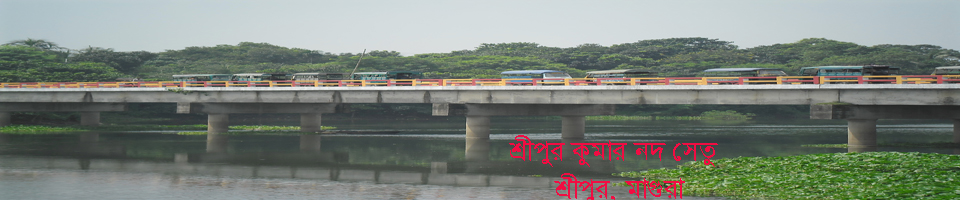 শ্রীপুর ইউনিয়ন