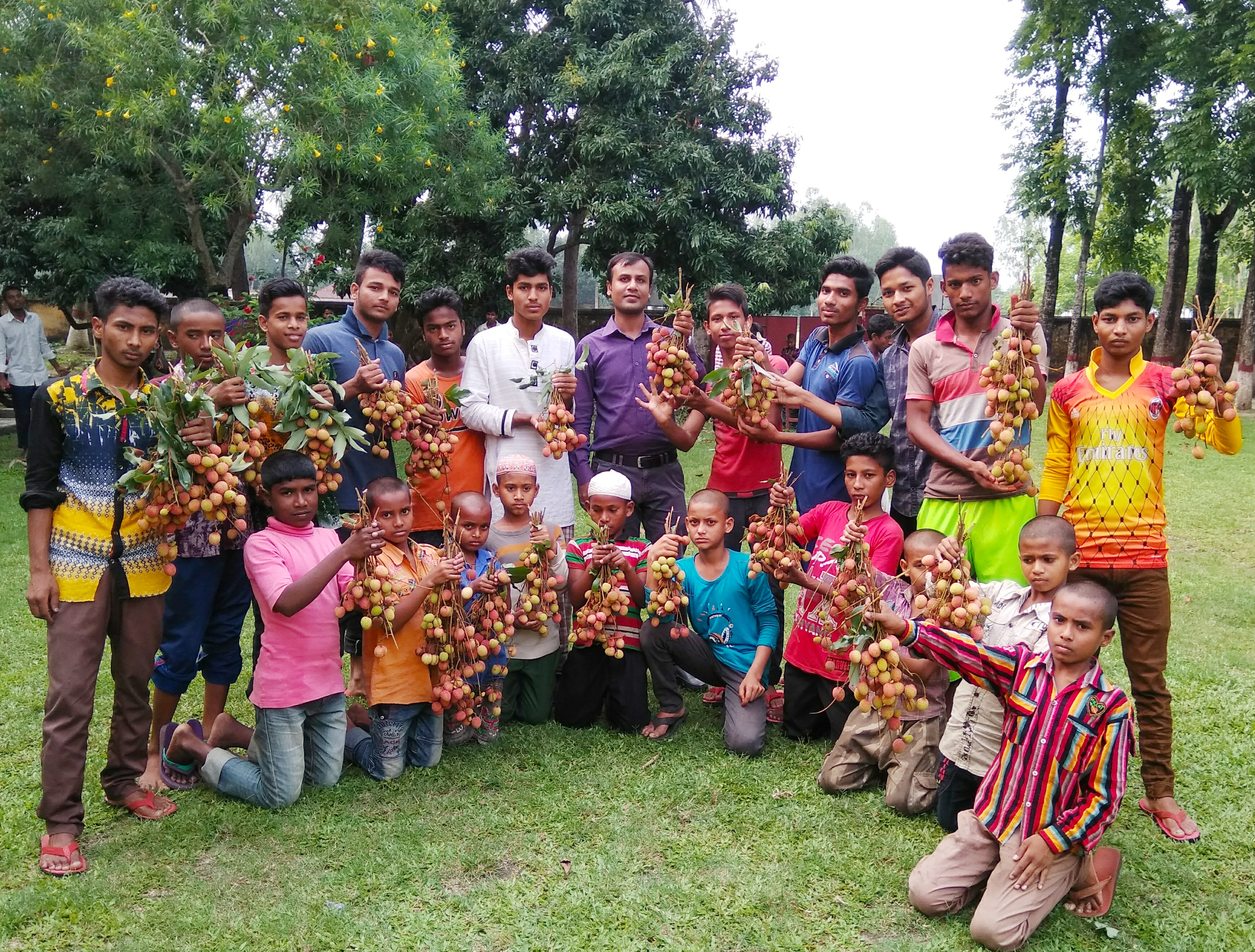 লিচু উতসব