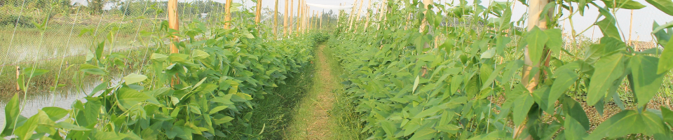 প্রাকৃতিক সৌন্দর্য