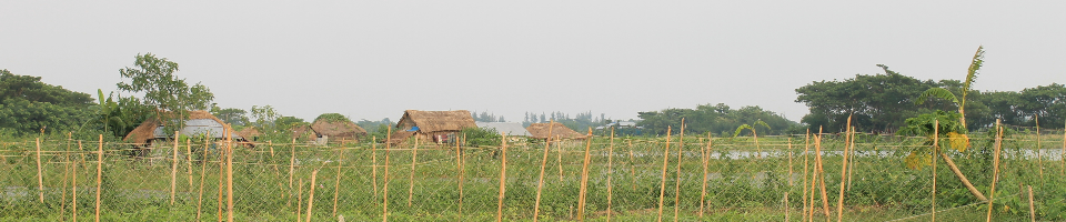 চরের নৈসর্গিক সৌন্দর্য, যা সুবর্ণচর উপজেলাকে দিয়েছে নতুন রূপ