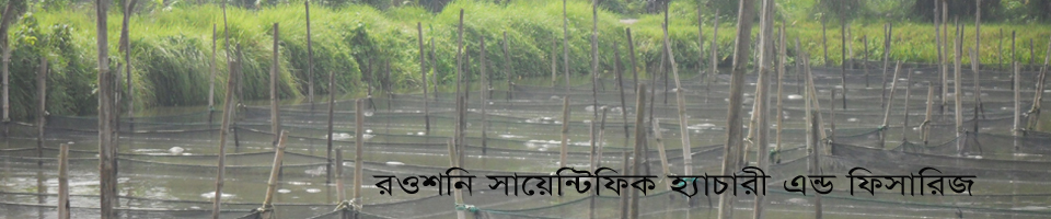 রৌশনী সাইন্টিফিক হ্যাচারী