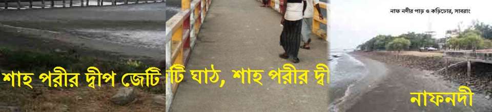 শাহ পরীর দ্বীপ জেটি ঘাঠ