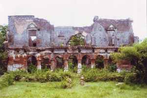 ফটো গ্যালারী