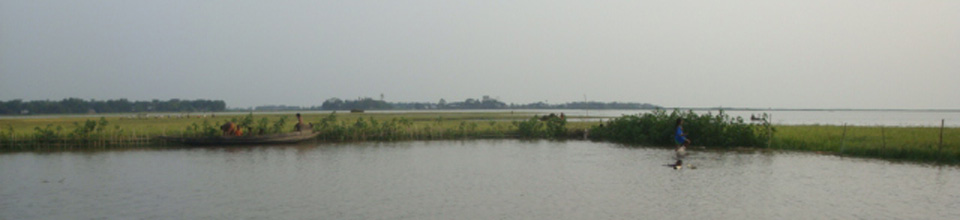 হাওড়ের আগাম বন্যা