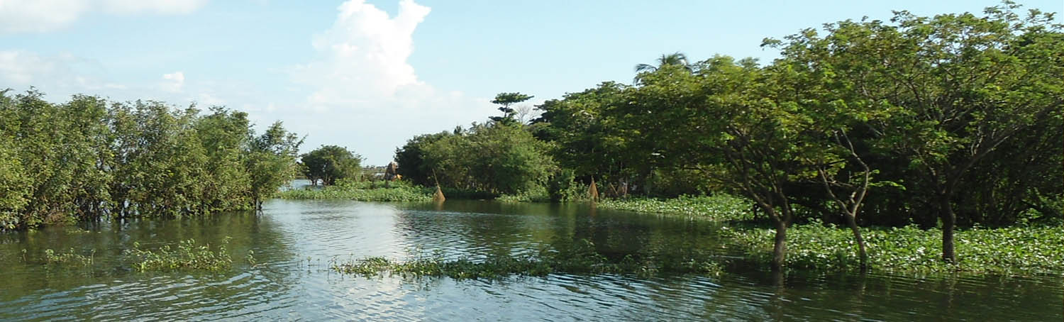 নদী