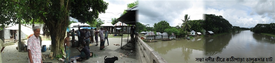 তালুকদার হাট ও আল মদিনা জামে মসজিদ