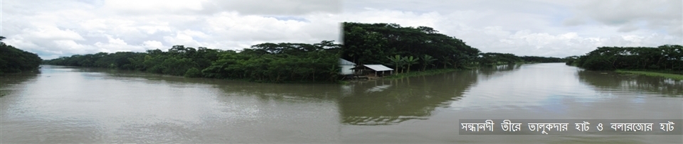 সন্ধানদী তীরে তালুকদার হাট, বলারজোর হাট