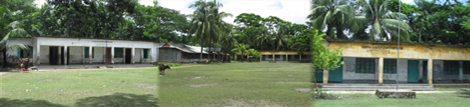 সাংগর আদর্শ উচ্চ বিদ্যালয় ও সরকারী প্রাথমিক বিদ্যালয় ও জামে মসজিদ