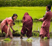 নিরাপত্তা ও শৃঙ্খলা
