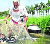 বিবিধ