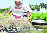 বিবিধ