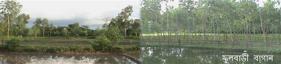 বাগান