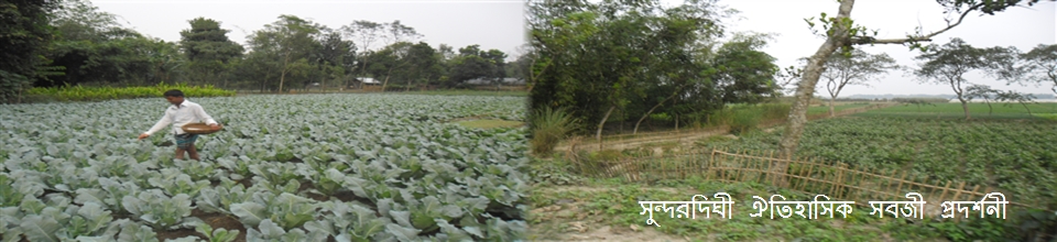 সুন্দর দিঘী