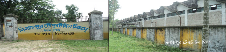 দিনাজপুর টেক্সটাইল মিলস্