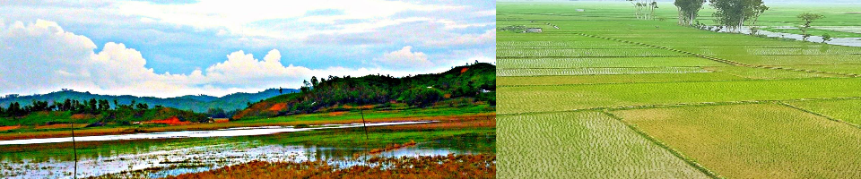 সুরাজপুর-মানিকপুর