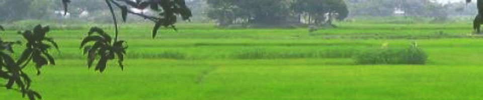 প্রাকৃতিক দৃশ্য